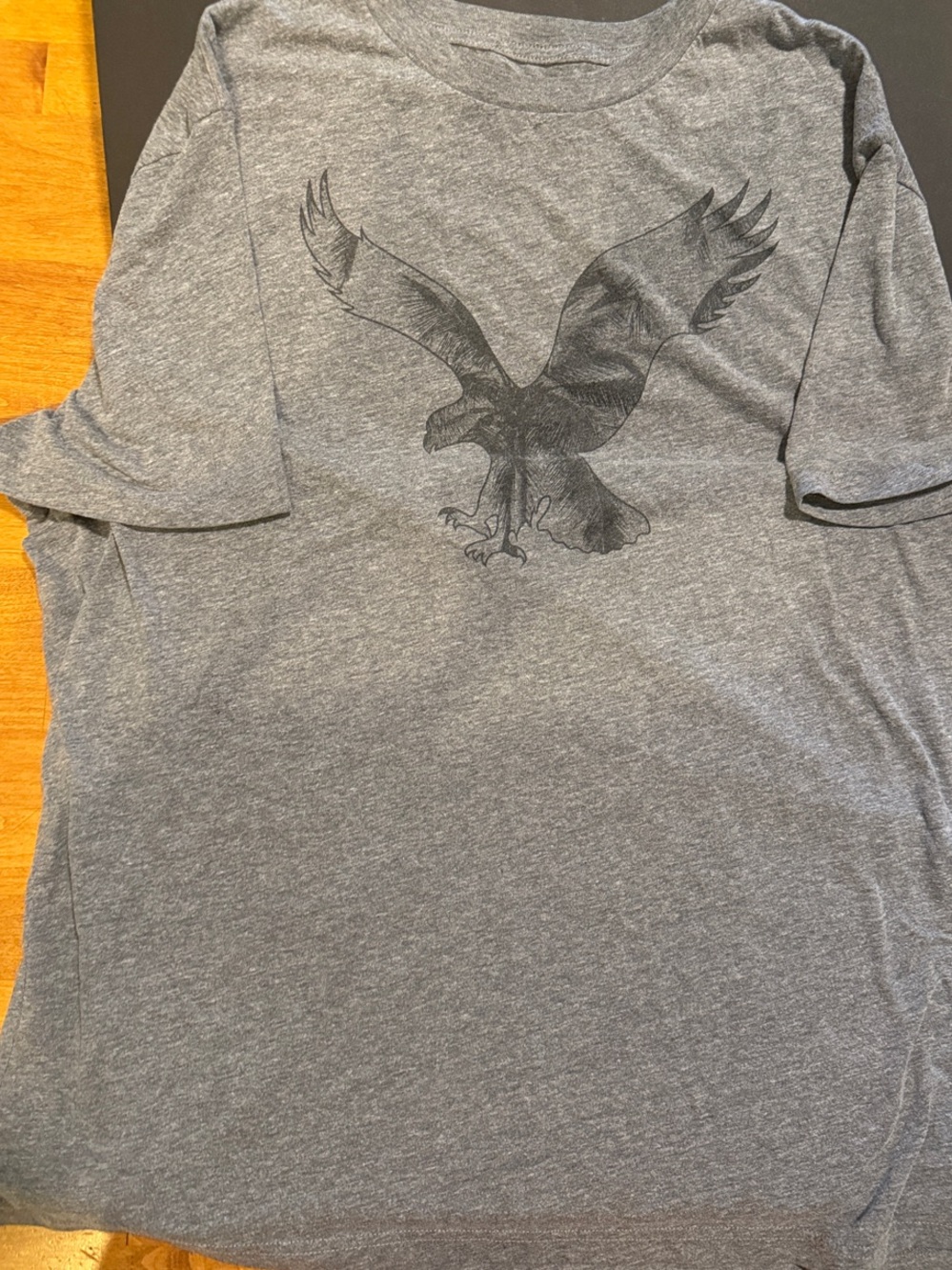 American Eagle Outfitters Gray Short-Sleeve Tee with Eagle Graphic